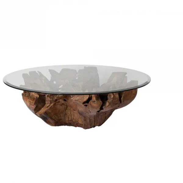 Natura Root coffee table